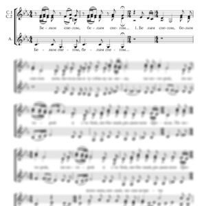 "Белым снегом" (Посолонь)